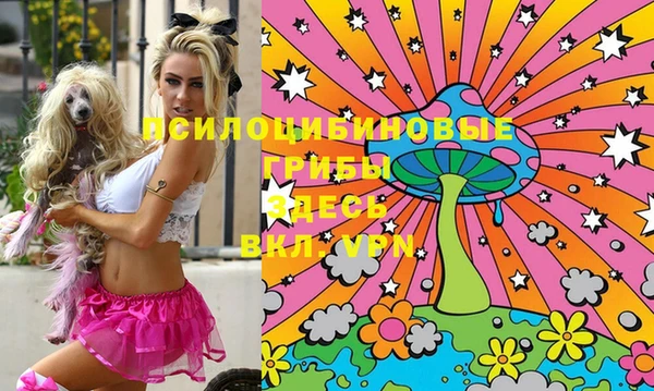прущая мука Горняк