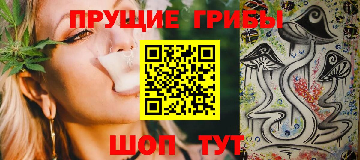 Псилоцибиновые грибы мухоморы  Вход с VPN  где продают наркотики  Псилоцибиновые грибы мицелий  Осинники 