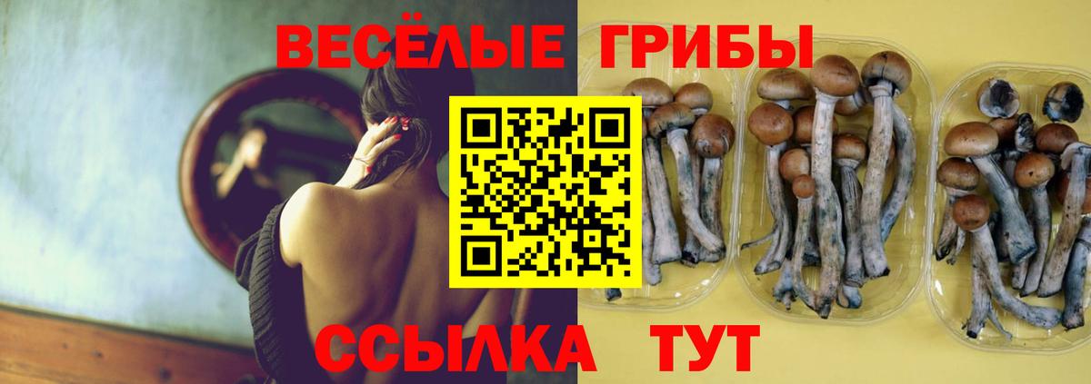 Галлюциногенные грибы MAGIC MUSHROOMS Осинники